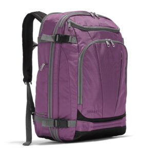 eBags Mother Load Travel Backpack